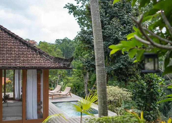 Honey Hill By Pura Homes *