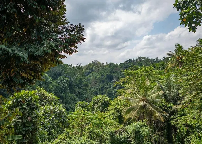 Honey Hill By Pura Homes * Ubud